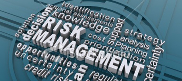 CRES LT - RISK MANAGEMENT